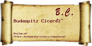 Budaspitz Ciceró névjegykártya